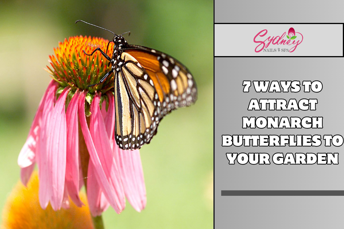 7 Ways to Attract Monarch Butterflies to Your Garden