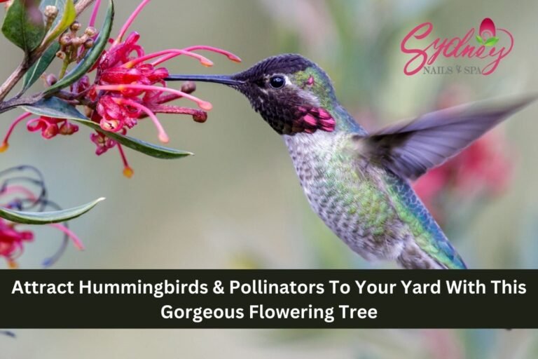 Attract Hummingbirds & Pollinators To Your Yard With This Gorgeous Flowering Tree