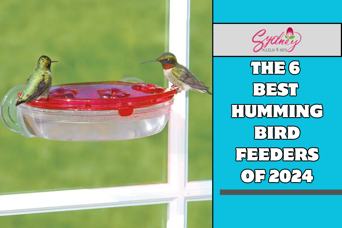 The 6 best hummingbird feeders of 2024
