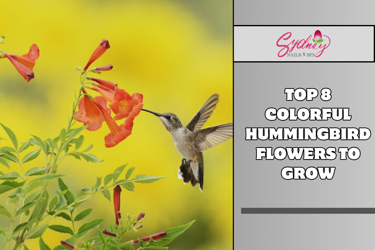 Top 8 Colorful Hummingbird Flowers to Grow